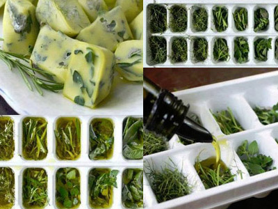 Pour sauver ses fines herbes